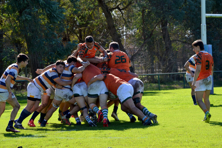 2025-08-02 FECHA 17 PREINTERMEDIA SBRC - VICENTINOS - Vicky Galliano 032