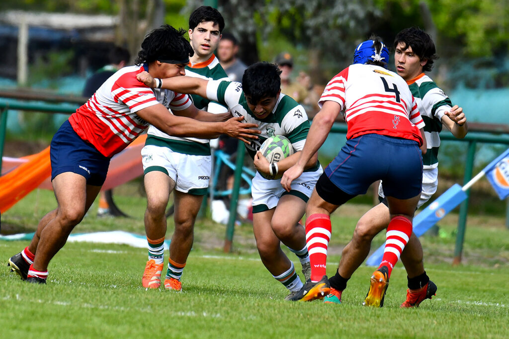 2026-09-26 FECHA 22 ARECO INTERMEDIA - @angelohermenegildo 22