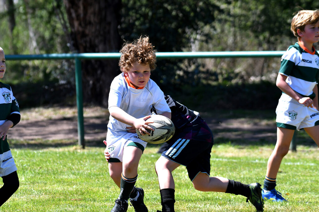 2026-09-26 INFANTILES SBRC - @angelohermenegildo 071